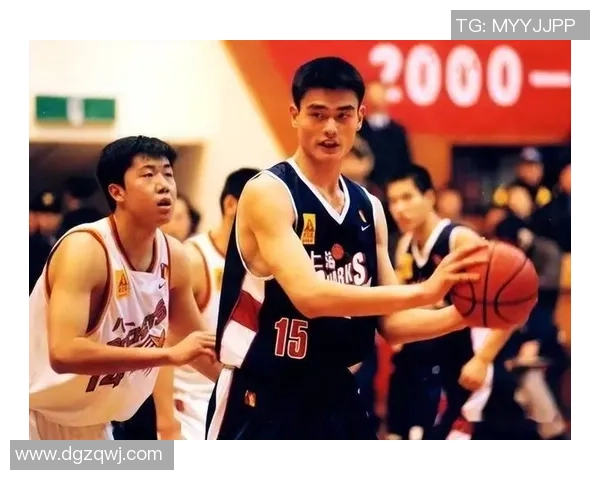 姚明在篮球历史上的地位是否已经达到了封神的境界与影响力分析